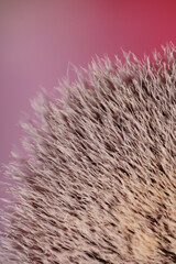 Macro texture of used blusher brush as background