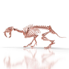 Smilodon Skeleton in Hunting Pose with Claws Extended