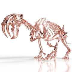 Smilodon Fossil Skeleton with Detailed Skull and Canines