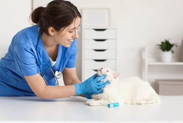 Happy female veterinarian with cute white cat and toothbrush in vet clinic. Pet Dental Health Month
