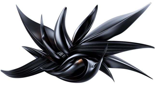 Abstract Black Decorative Element with Flowing Curves and Dynamic Shapes for Modern Art Design