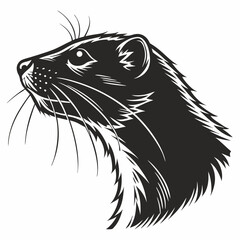 vector image of a cat