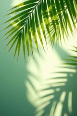 Delicate palm fronds casting shadows, nature-inspired design element, artistic, tropical, shadows