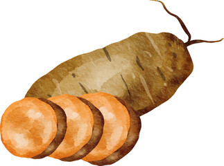 Watercolor Ubee- Sweet Potato Illustration