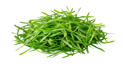 Fresh Green Chives Garnish Isolated on White Background for Culinary and Food Photography Needs