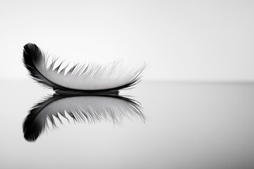 Obraz premium Delicate feather resting on a surface, perfectly mirroring its form