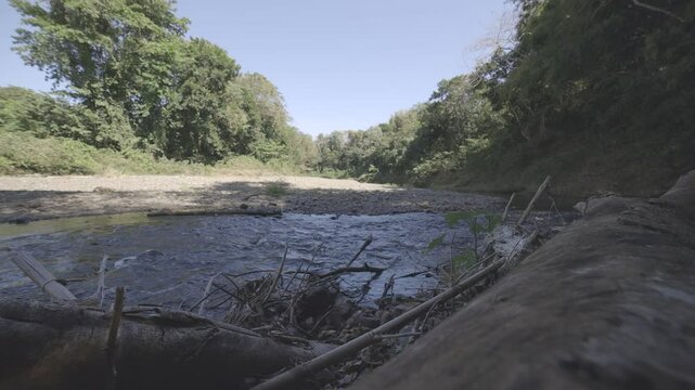 the river in the forest, hd video, canon eos r c-log 8bits