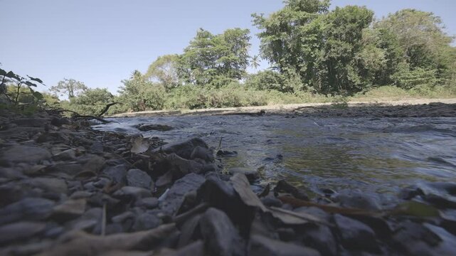 close up of water flowing into the river, hd video, canon eos r c-log 8bits