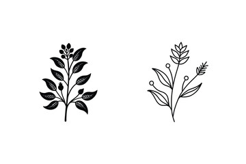Simple Line Art Botanical Illustrations Floral, Plant, and Herb Designs