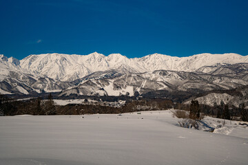 快晴の空と雪の北アルプス　長野県白馬村