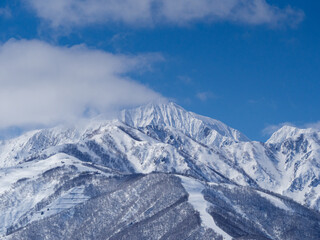 Obraz premium 快晴の空と雪の北アルプス 長野県白馬村
