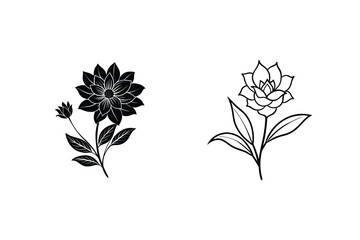 Elegant Black and White Floral Designs Dahlia and Rose Illustrations
