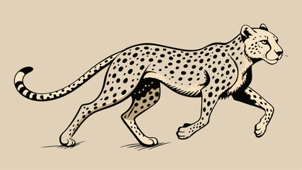 Vintage Cheetah Running – Black and White Sketch with Detailed Spots and Dynamic Pose in Wildlife Art Style