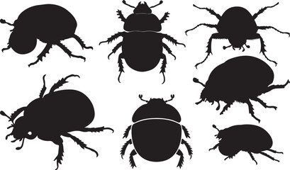 Dung Beetle Silhouette on White Background