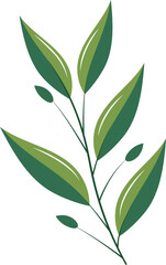 Fototapeta premium Nature Leaves