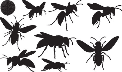 Hornet Silhouette on White Background