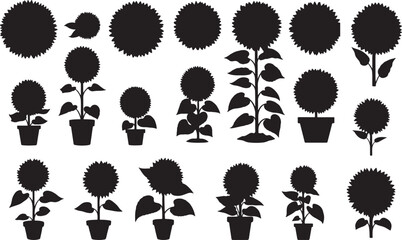 Sunflower Silhouette