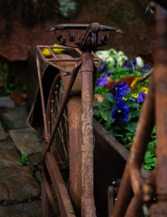 Close up detail of an old rusty bicycle