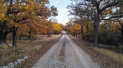 Obraz premium A quiet gravel road lined with oak trees, golden leaves falling in autumn --ar 16:9 --v 6.1 Job ID: 571f154d-714b-4274-ba0f-3a1154920b2a