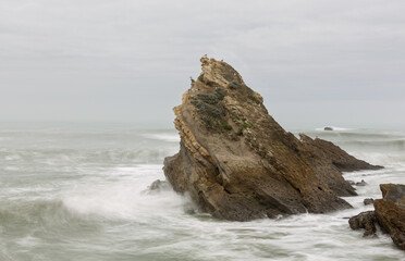 View of the rock outcrop at Port Vieux, Biarritz
