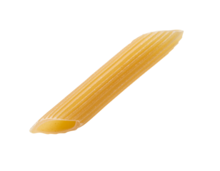 Single penne pasta close-up