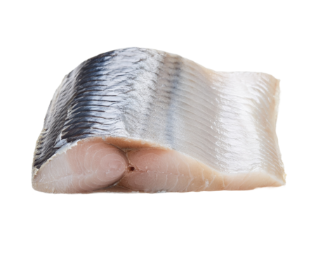 Fillet of Herring