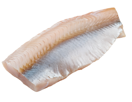 Fresh, raw fish fillet