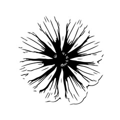 Obraz premium Simple Black and White Flower Graphic Element