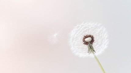 minimalistic stock photo of single dandelion seed floating in air against bright neutral background