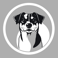 A sleek black and white dog portrait with a minimalist and modern touch