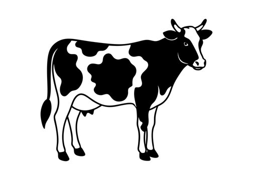 Black and White cow vector black silhouette vector illustration white background