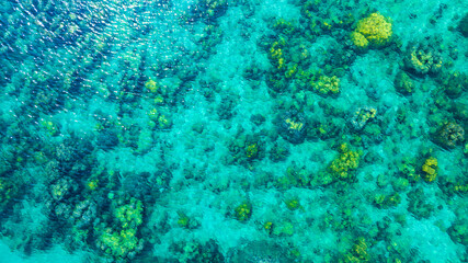 Top view. Summer sea water, blue surface. The water is clear with ripples and sparkles in the sunlight and you can see coral under the sea.
