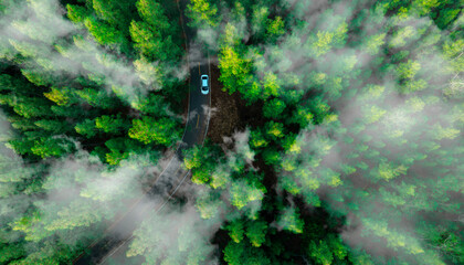 Aerial view of dark green forest road and white electric car Natural landscape and elevated roads Adventure travel and transportation and environmental protection concept	