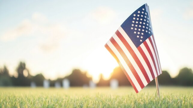 minimalistic stock photo of lone american flag planted in grassy field illuminated by golden sunset light