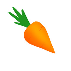 A Carrot illustration drawing 