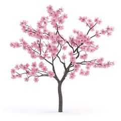 Fototapeta premium cherry blossom 3D render