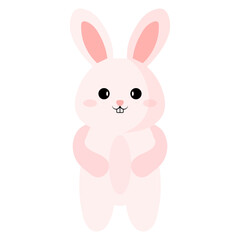 Cute Bunny Rabbit