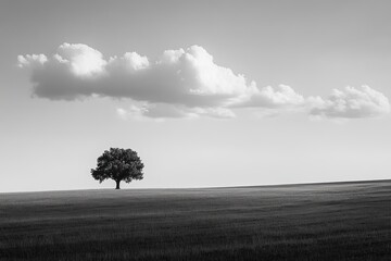 Obraz premium Minimal Serenity in Expansive Landscapes