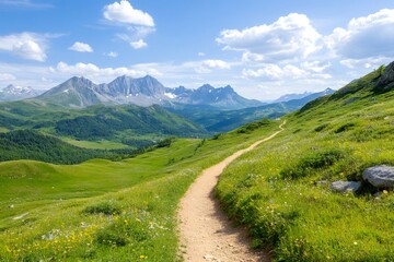 Fototapeta premium Hiking trail winding through blooming meadow in the French Alps