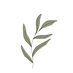 Elegant minimalist vector botanical illustration of green leaves with subtle line art. Created in a modern flat style with neutral tones. Perfect for eco-friendly designs, logos, and digital art