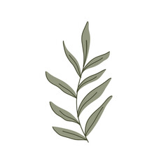 Elegant minimalist vector botanical illustration of green leaves with subtle line art. Created in a modern flat style with neutral tones. Perfect for eco-friendly designs, logos, and digital art