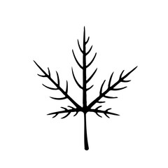 Fototapeta premium Delicate Silhouette: Botanical Illustration of Leaf