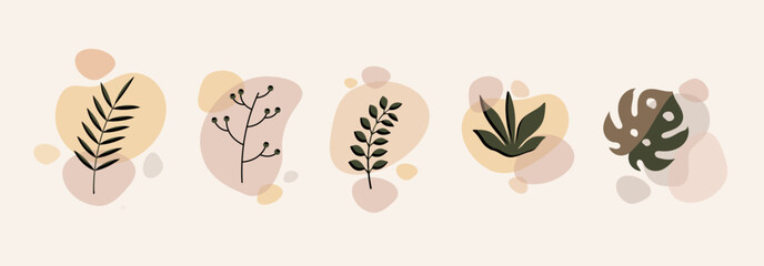 Abstract floral compositions. Boho story templates. Fluid organic shapes, neutral colors. Bohemian exotic leaf prints. Mid Century Modern design. Vector leaves illustration