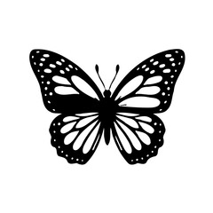 Monochrome Butterfly Isolated on White Background