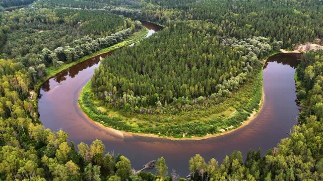 Aerial View Of Gauja River In Dense Forest Woods Through Gauja National Park, Latvia.
