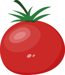 Tomato illustration