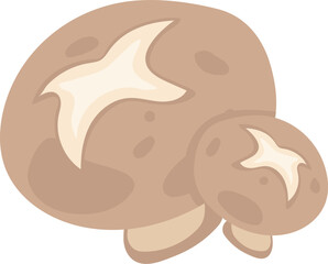 Mushroom illustration