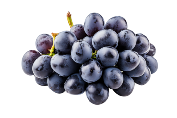 A close up shot of a bunch of fresh dark grapes with a stem isolated against a black background