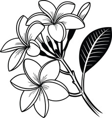 Bold Thai Food Designs Vectors, Icons, and Vintage TShirt Graphics