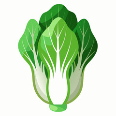 Bok choy vegetable isolated vector